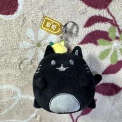 SEVENTEEN ジュン アーティストメイド キーリング
