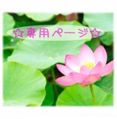 ライフフォース 生命力を呼びさまし活力を回復 フィンドホーン