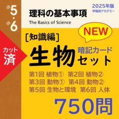 2025年最新】中学受験 理科 暗記カードの人気アイテム - メルカリ