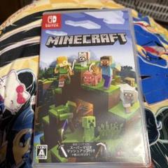 ニンテンドーSwitch マインクラフト