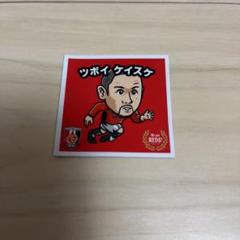 坪井慶介　サインカード　浦和レッズ ミントモール / MINT 札幌店 / 2011 チームエディション 浦和