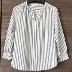 NOLLEY'S ストライプ柄シフォンブラウス　キーネック
