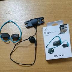 SONY ウォークマン Wシリーズ NW-WS615(L)