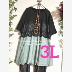 4217新品⭐️LL＊レース使いが可愛いTシャツチュニック大きいサイズ 4494新品⭐️3L＊レース使いが可愛いTシャツチュニック大きい