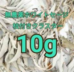 激安価格☆無農薬ホワイトセージアウトレットクラスター10g説明