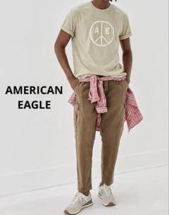アメリカンイーグル アップリケ グラフィックTシャツ　オリーブ　XL コットン