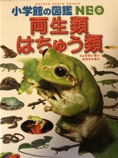 小学生の図鑑 NEO 両生類 爬虫類 (CD無し)