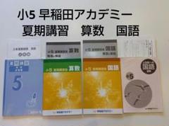 2025年最新】早稲アカ 夏期講習 小5の人気アイテム - メルカリ