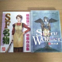Spirit of Wonder