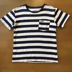 BLUE BLUE フルーツオブザルーム　ボーダーTシャツ メンズS