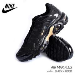 NIKE AIR MAX plus ナイキ エア マックス プラス VAPOR