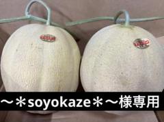 soyokaze＊〜様専用】【熟し始め】夕張メロン（個選品）大玉2玉