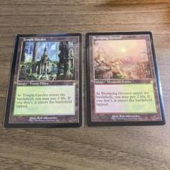 ショックランド 旧枠 2枚セット MTG - メルカリ