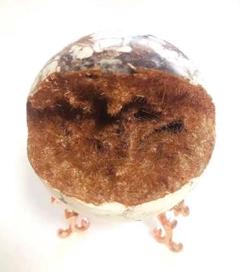 マグネサイト　鉄鉱石針共生 天然石　笑口　菱苦土石 287g 6.28cm