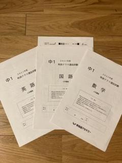 2T選抜試験対策模擬試験 特訓選抜対策テスト 2025年最新】早稲アカ 特訓選抜テストの人気アイテム - メルカリ