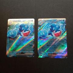 2025年最新】カード名：イルカマンex ポケモンカードゲームの