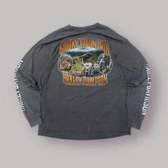 00s Harley Davidson　ロンTのサムネイル