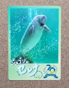 鳥羽水族館 ジュゴン セレナ トレーディングカード コレカ 70周年