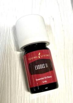 【新品未開封】ヤングリビング　ワイエルジョイ　2本ヤングリヴィング　15ml 335705.jpg