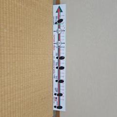 Perfect Swing Path Board パーフェクトスイングパスボード