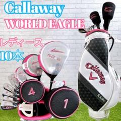 レディースゴルフセット★WORLD EAGLE FL-01 V2★10本組