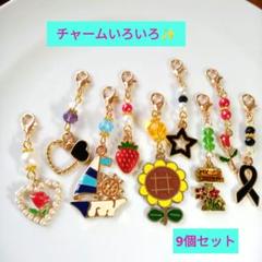 カラフルチャーム9個セット