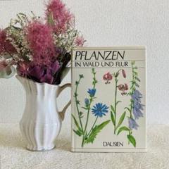 洋書 古書 ドイツ語の植物図鑑 柔らかな色彩の植物画♡ 野の花