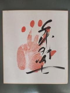 千代の富士 サイン色紙 手形 第58代横綱・千代の富士貢 手形サイン色紙 - メルカリ