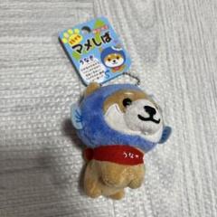 2025年最新】旅するマメしば うなぎの人気アイテム - メルカリ