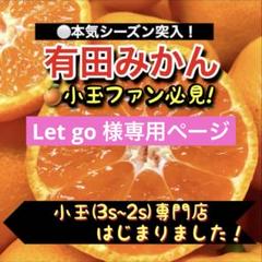 Let go様専用和歌山有田みかん 高糖度系小玉(2s~3s)サイズ 10kg
