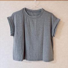 Cicy Bell Tシャツ ショート丈 フレンチスリーブ M