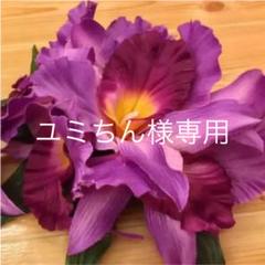 フラダンス☆パープルオーキッドヘアクリップ☆髪飾り☆大小2個セット