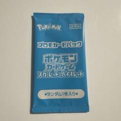 ポケモンカード　夏ポケカ　プロモ　新品未開封　正規品　海外　中国版 ポケモンカード 夏ポケカ プロモ 新品未開封 正規品 海外 中国版