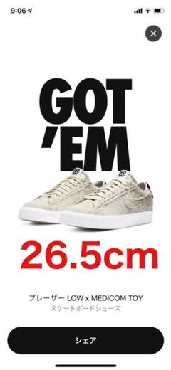 メディコムトイ× NIKE SB ブレーザー low "BE@RBRICK"