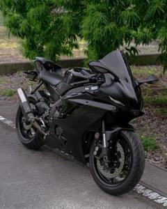 YZF-R6 13S 08-16 ダブルバブル イリジウムスクリーン ライト