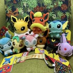 ポケモンドールズシャワーズ&エーフィセット（紙タグ付き）2017