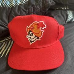 New Era VNTG 90s Minor league Baseball