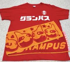 名古屋グランパス カタカナ Tシャツ ＆ タオルマフラー セット