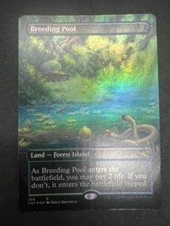 unfinity アンフィニティ　breeding pool 繁殖池　foil Breeding Pool | Unfinity Variants Foil | Card Kingdom