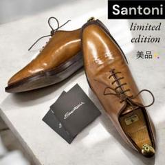 最高級 限定品 サントーニ ホールカット　パティーヌ スキンステッチ 日本限定モデル｜PEDULA】ホールカットシューズ（シューズ
