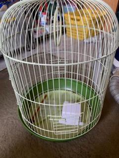 鳥かご