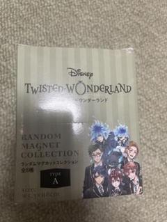 ディズニー ツイステ ブラインド マグネット typeＡ 制服 ＢＯＸ