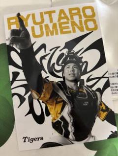 阪神タイガース　梅野選手　ウル虎の夏オリジナルフォト