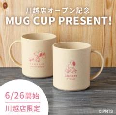 川越限定品　スヌーピービレッジ　ピンバッチ、コースター、限定缶 川越限定品 スヌーピービレッジ ピンバッチ、コースター、限定缶