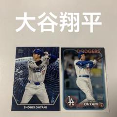 大谷翔平3冊セット 大谷翔平100枚コンプリートセット ー 三宝堂オンラインショップ