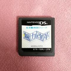 魅力改革 DS ソフトのみ 送料込