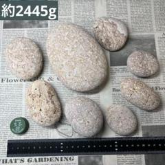 姫川薬石 約2545g 糸魚川産