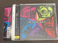 ゾロ/APOLLO　初回盤