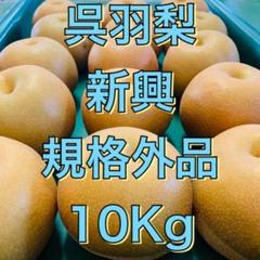 呉羽梨 新興 規格外品 10Kg 199