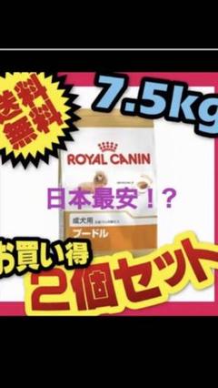 プードル二個セット